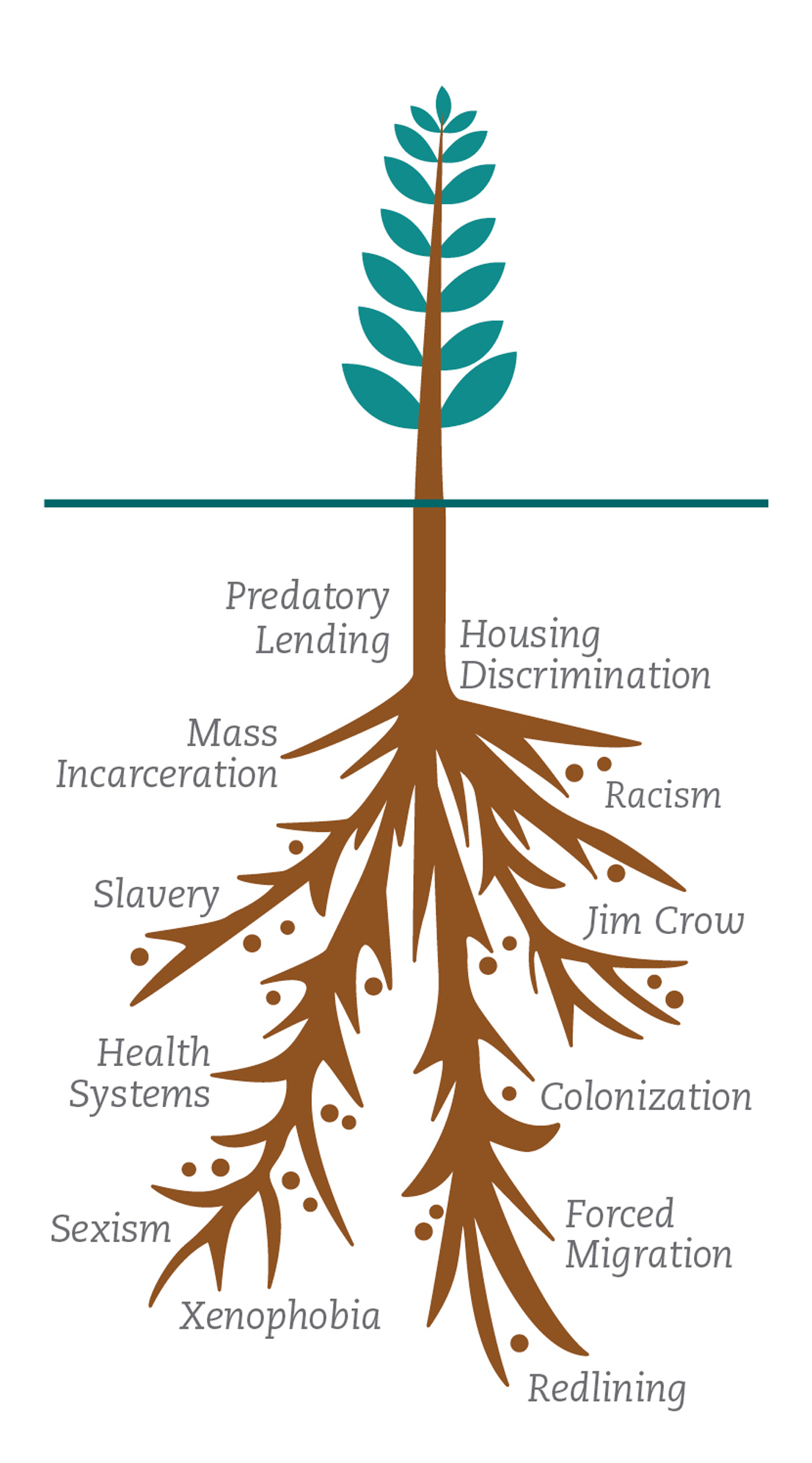 graphic of a tree with roots and roots are inequities